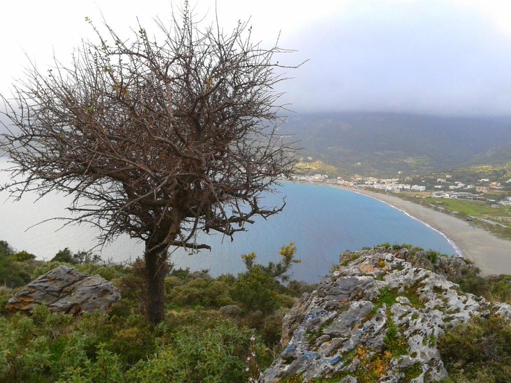 Flisvos Rooms Plakias Exterior photo