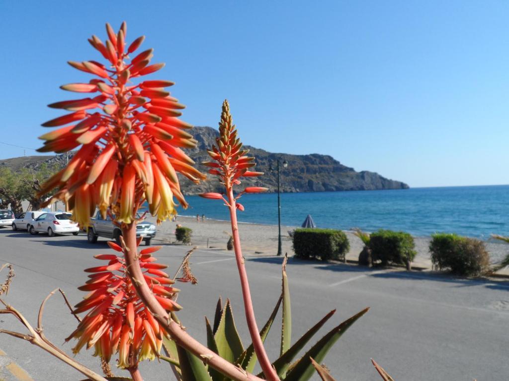 Flisvos Rooms Plakias Exterior photo