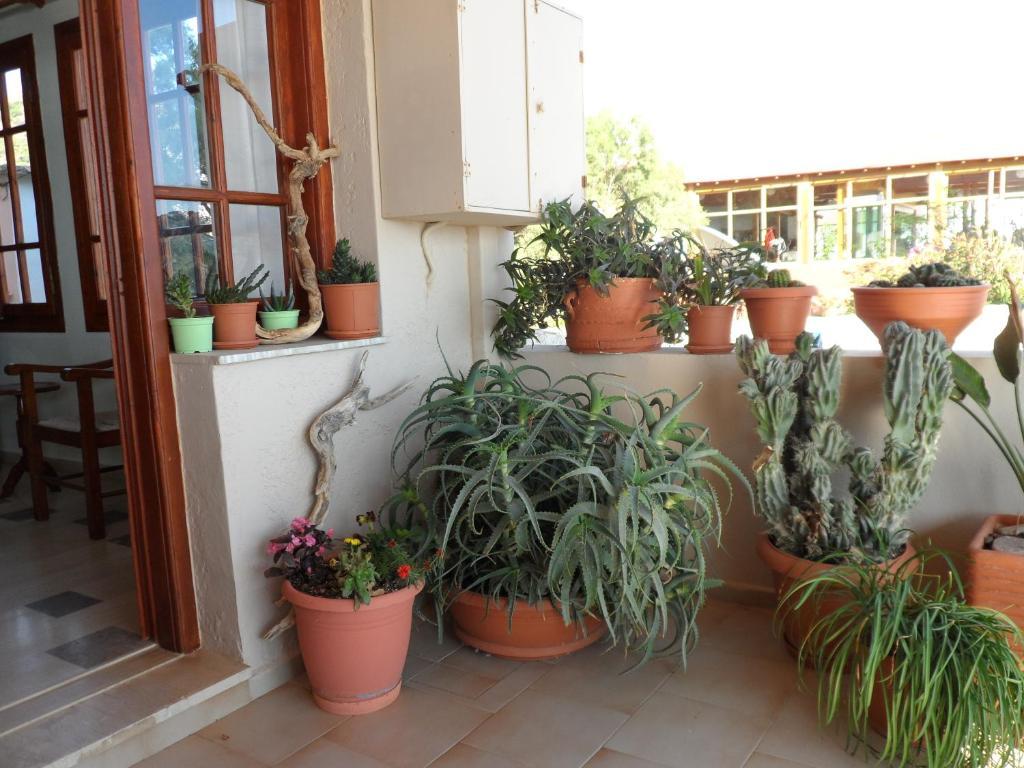 Flisvos Rooms Plakias Exterior photo